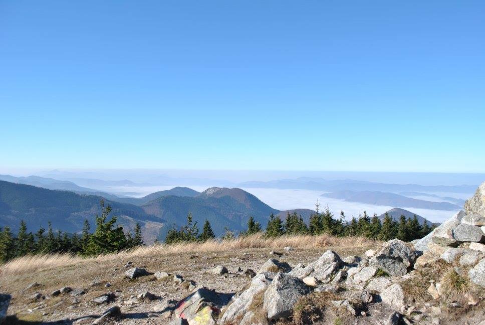 498018195 2842560455931910 4775586569331846602 n